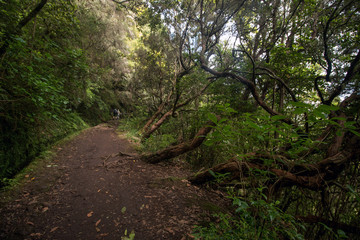 Levada of Caldeirao Verde