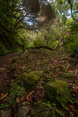 Levada of Caldeirao Verde