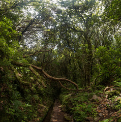 Levada of Caldeirao Verde