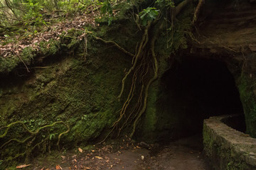 Fototapeta premium Levada of Caldeirao Verde