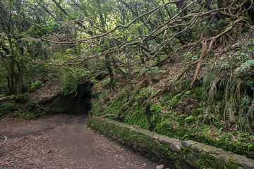 Levada of Caldeirao Verde