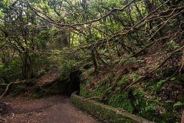 Levada of Caldeirao Verde
