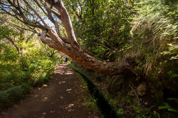 Levada of 25 fontes