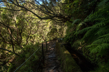 Levada of 25 fontes