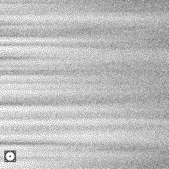 Wavy background. Black and white grainy dotwork design. Pointillism pattern. Stippled vector illustration.
