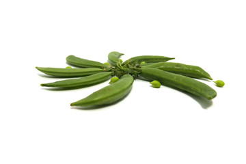 Pea