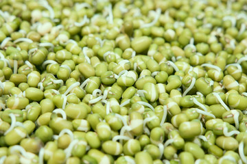 sprouting Mung bean. healthy eating.