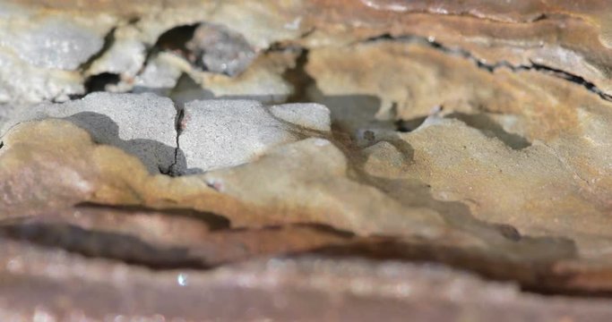 Corrosione generalizzata su un metallo ferro