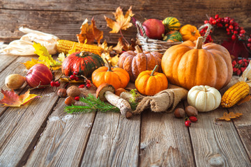 Autumn still life with pumpkins, corncobs, fruits and leaves