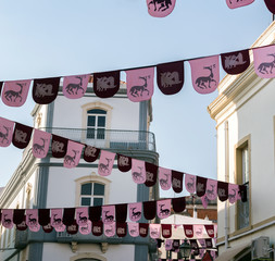 Medieval flags in festival © Mauro Rodrigues