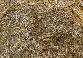 natural textures - straw.  Straw is covered with greens