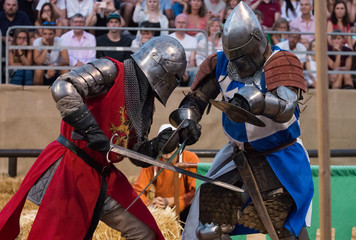 Two medieval warriors on a intense fight.