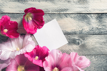 White blank greeting card with pink hollyhock flowers on wooden background. Top view. Mockup