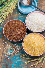 Green rice ears from Camargue rice fields in France and valiety of dried rice in bowls