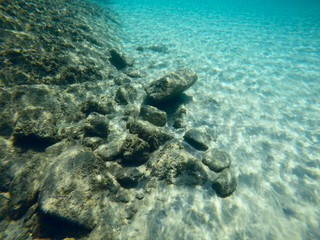 Underwater sea scene