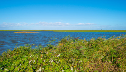  Shore of a lake below a blue sky in autumn