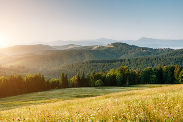 Fototapeta premium Great view of alpine village glowing by sunlight. Location place Carpathian, Ukraine, Europe.