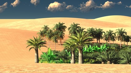 Lush spectacular plants on wilderness in the evening, 3d rendering