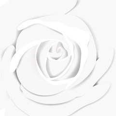 White rose close-up background, paper craft/paper cut style