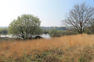 Landschaft, Maasduinen, Niederlande, Holland
