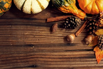 Rustic Autumn layout with  pumpkins,apples,squash,acorn nuts on dark wooden background / Thanksgiving Theme with copy space