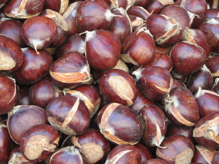 chestnuts