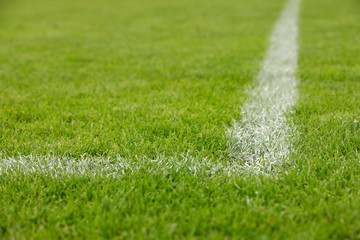Naklejka premium Rasen Fussballfeld mit Seitenmarkierung