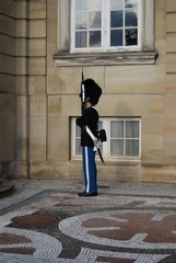 Cambio della guardia danese