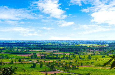 Fototapeta na wymiar View of green filed with blue sky background,agriculture from north east Thailand. 