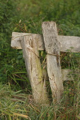 Holzzaun, Weidenzaun