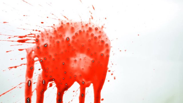 Blood splash on white background
