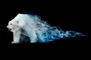 Foto op Canvas ijsbeer dierenrijk collectie met geweldig effect © Effect of Darkness