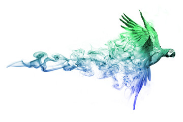 Macaw with a white background animal kingdom collection with amazing effect