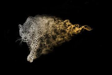 Leopard one of the big five animals you must see in africa animal kingdom collection with amazing effect