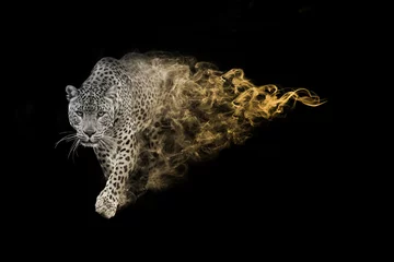 Poster Luipaard, een van de vijf grote dieren die je moet zien in de collectie van het dierenrijk in Afrika met een verbazingwekkend effect © Effect of Darkness
