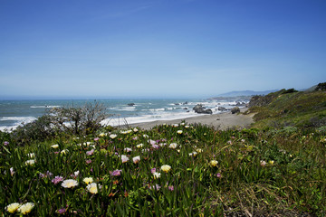 Lost Coast