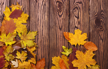 Naklejka na ściany i meble autumn leaves on background