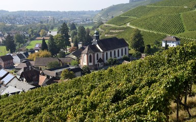 view across the vineyards of Baden Germany, towards the church in Durbach, Ortenau region of Germany