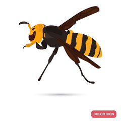 Azian wasp color flat icon for web and mobile design