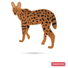 Serval color flat icon for web and mobile design
