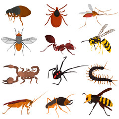 Set pf dangerous insects color flat icons