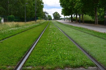Natura urbana 