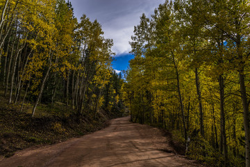 Aspen Lined Mountain Road