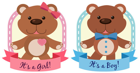 Obraz premium Banner design with teddy bears in blue an pink