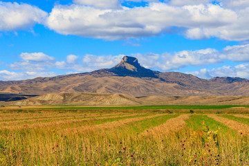 Heart Mountain, Wyoming