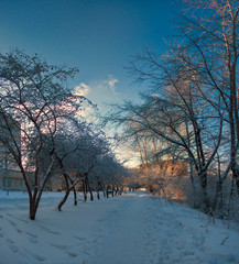 Wonderful nature in winter