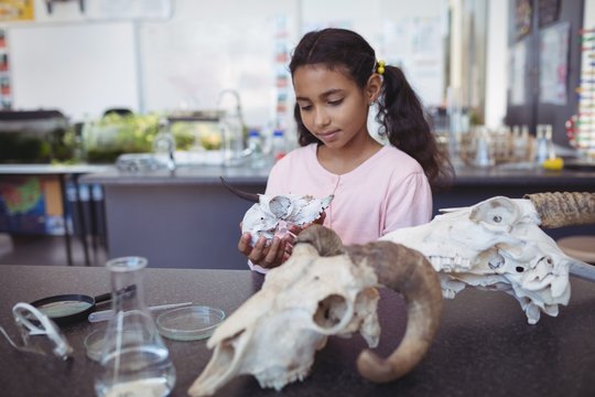 Schoolgirl holding animal skull - Powered by Adobe