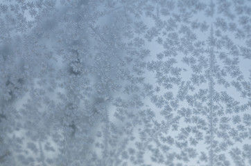 Icy flowers - frozen window-glass blur