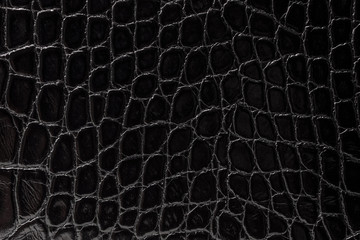 the texture of the skin is gray