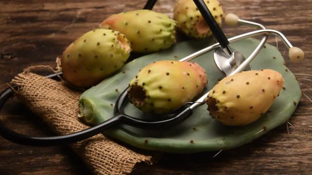 Opuntia ficus-indica Viikunaopuntia Опунция индийская &Phi;&rho;&alpha;&gamma;&kappa;&omicron;&sigma;&upsilon;&kappa;&iota;ά Fico d'india video Prickly ficodindia pear اپونیتا فیکوس ایندیکا